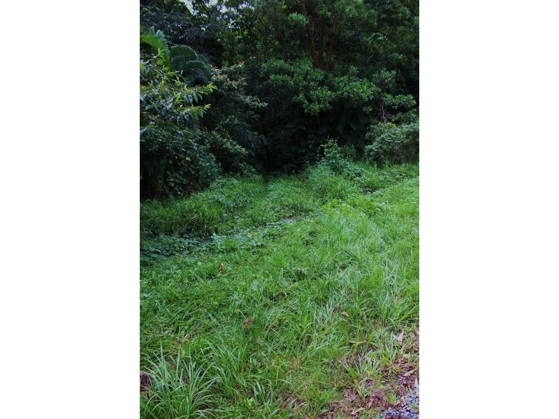 Lot 19 George Road FOREST CREEK, Daintree QLD 4873