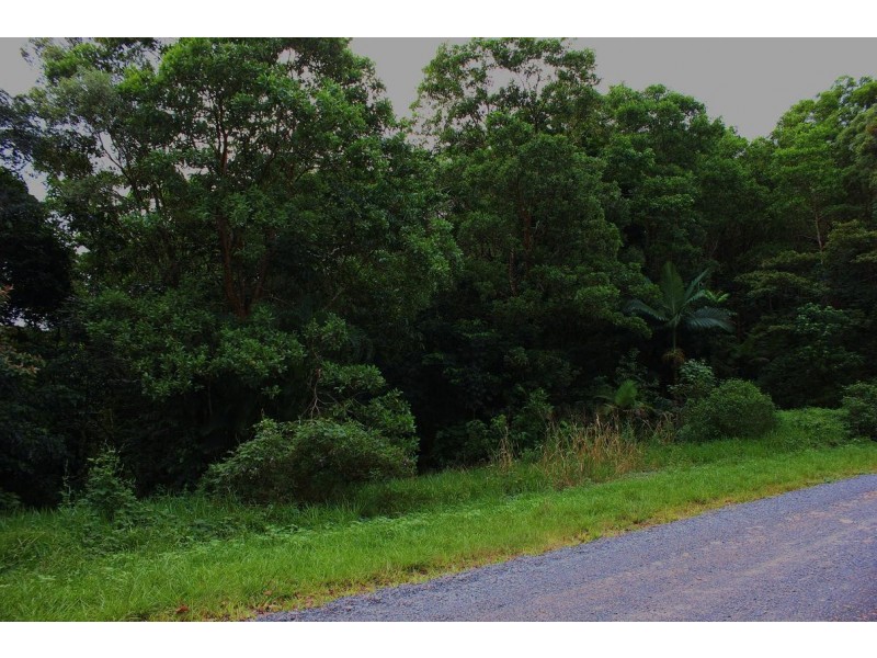 Lot 19 George Road FOREST CREEK, Daintree QLD 4873