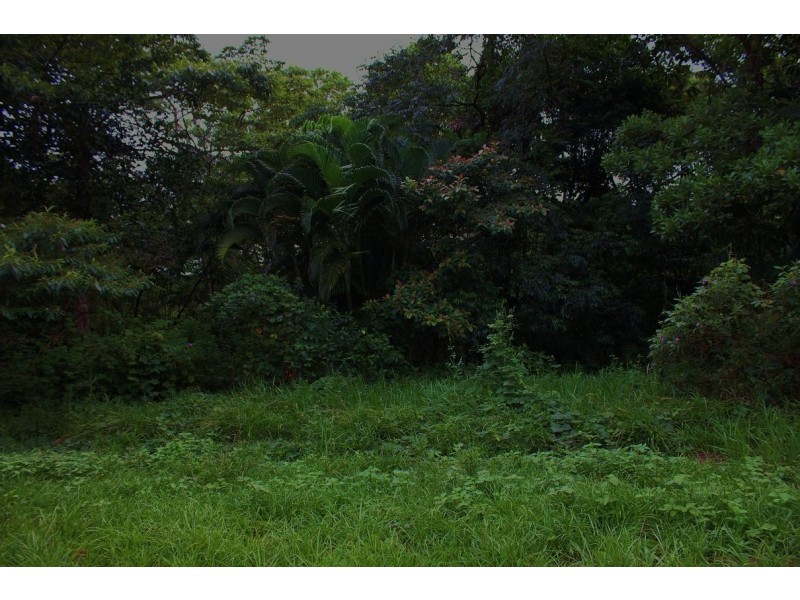 Lot 19 George Road FOREST CREEK, Daintree QLD 4873