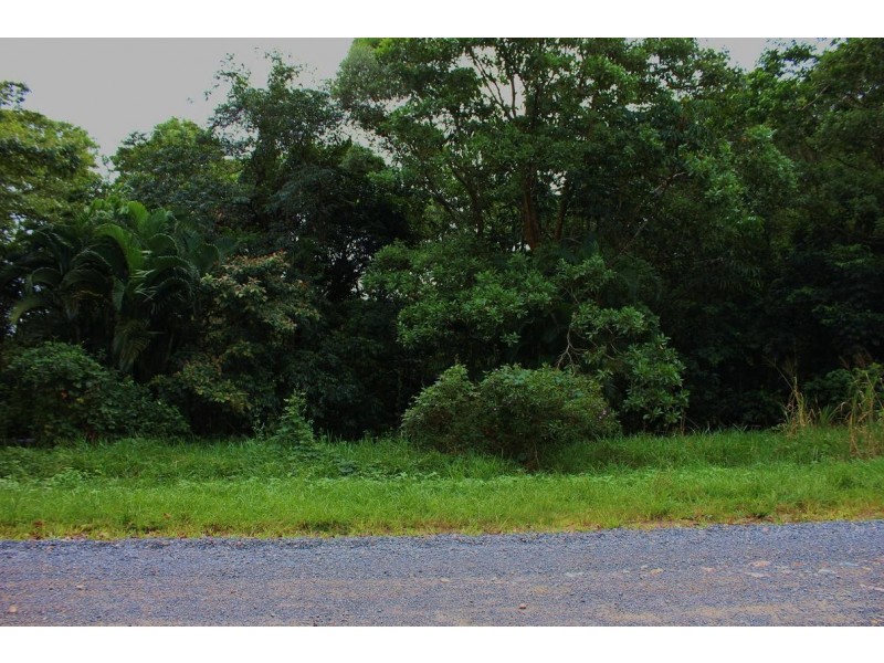 Lot 19 George Road FOREST CREEK, Daintree QLD 4873