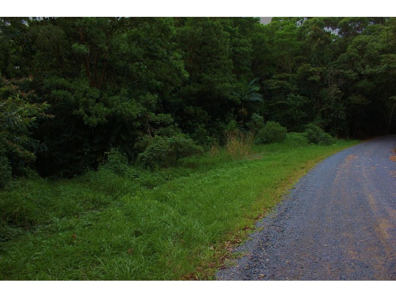 Lot 19 George Road FOREST CREEK, Daintree QLD 4873