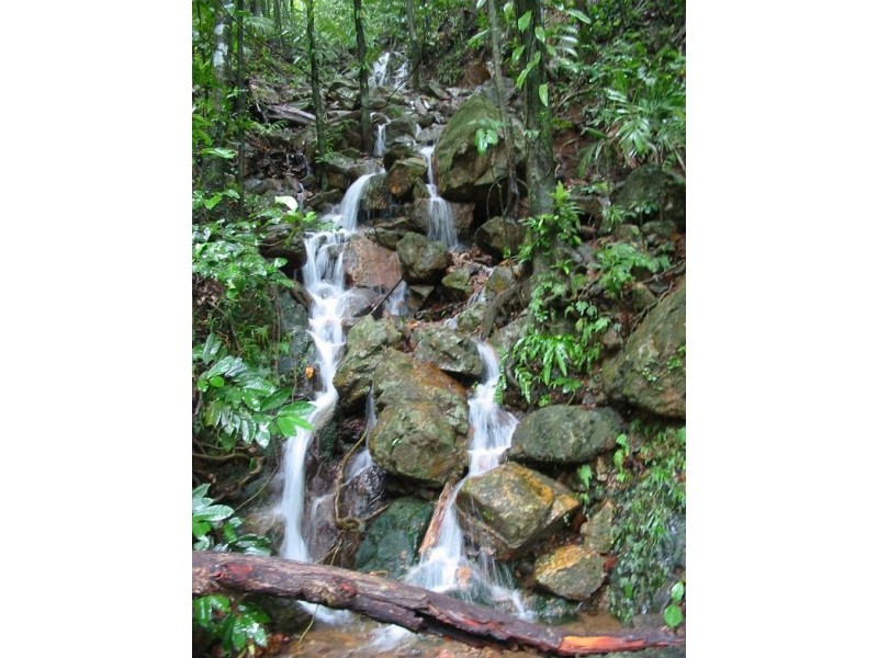 Lot 19 George Road FOREST CREEK, Daintree QLD 4873