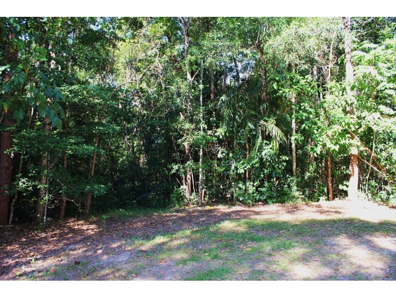 199 Cedar Road COW BAY, Daintree QLD 4873
