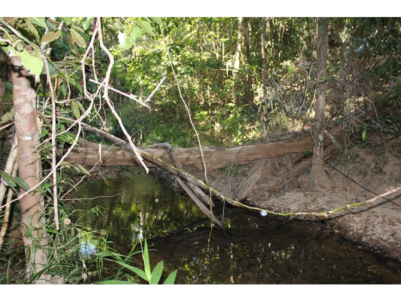 199 Cedar Road COW BAY, Daintree QLD 4873