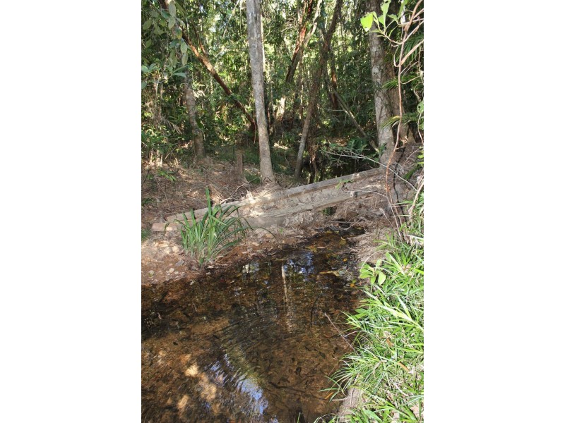 199 Cedar Road COW BAY, Daintree QLD 4873