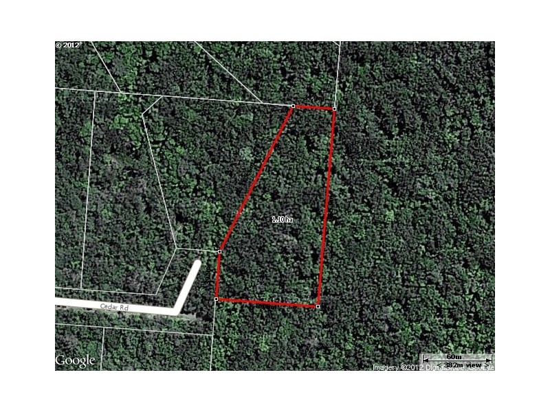 199 Cedar Road COW BAY, Daintree QLD 4873