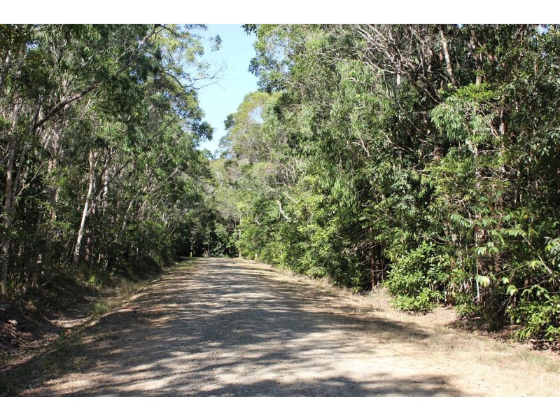 199 Cedar Road COW BAY, Daintree QLD 4873