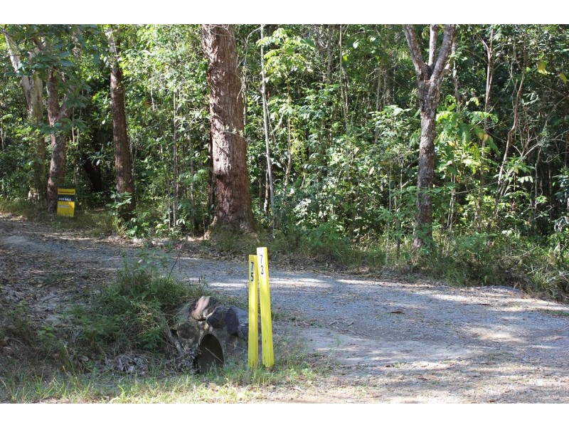 199 Cedar Road COW BAY, Daintree QLD 4873