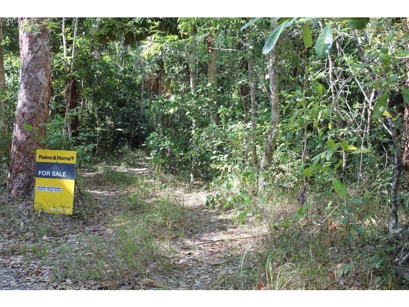 199 Cedar Road COW BAY, Daintree QLD 4873