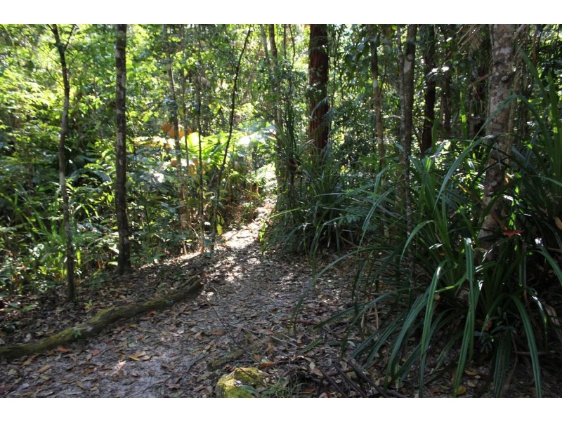 199 Cedar Road COW BAY, Daintree QLD 4873