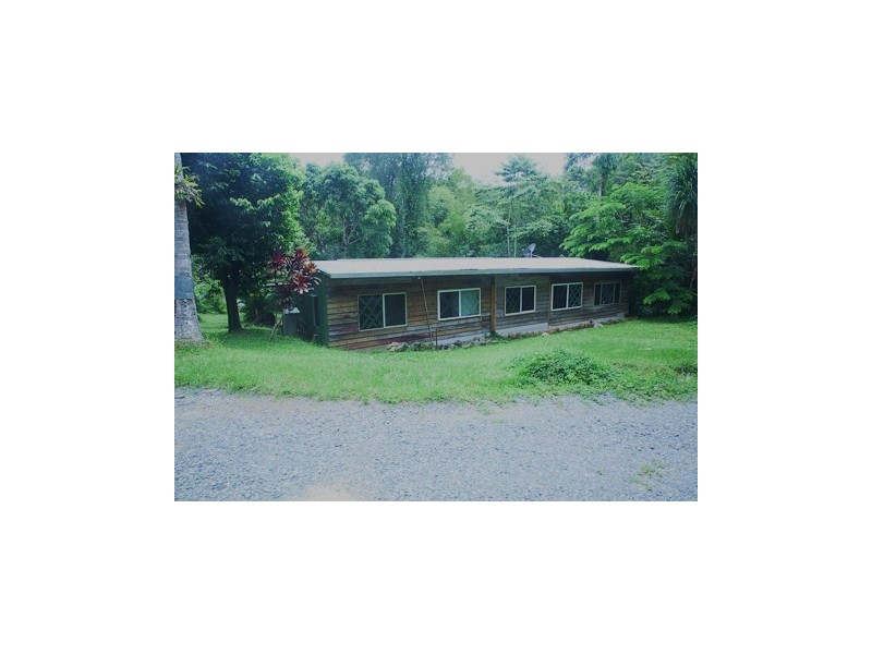 Lot 84 Cape Tribulation Road FOREST CREEK, Daintree QLD 4873