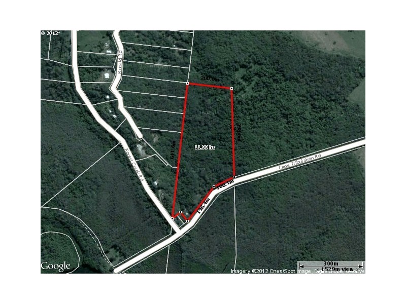 Lot 84 Cape Tribulation Road FOREST CREEK, Daintree QLD 4873