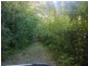 Lot 84 Cape Tribulation Road FOREST CREEK, Daintree QLD 4873
