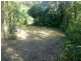 Lot 84 Cape Tribulation Road FOREST CREEK, Daintree QLD 4873