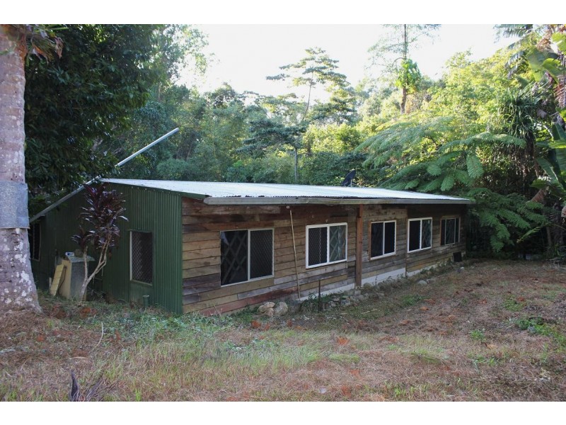 Lot 84 Cape Tribulation Road FOREST CREEK, Daintree QLD 4873