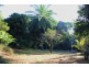 Lot 84 Cape Tribulation Road FOREST CREEK, Daintree QLD 4873
