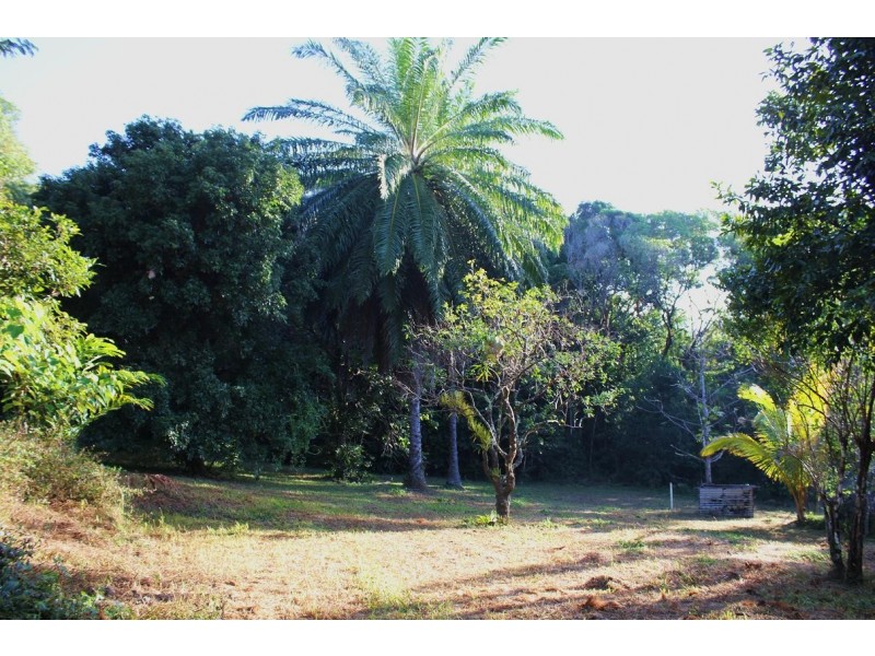 Lot 84 Cape Tribulation Road FOREST CREEK, Daintree QLD 4873