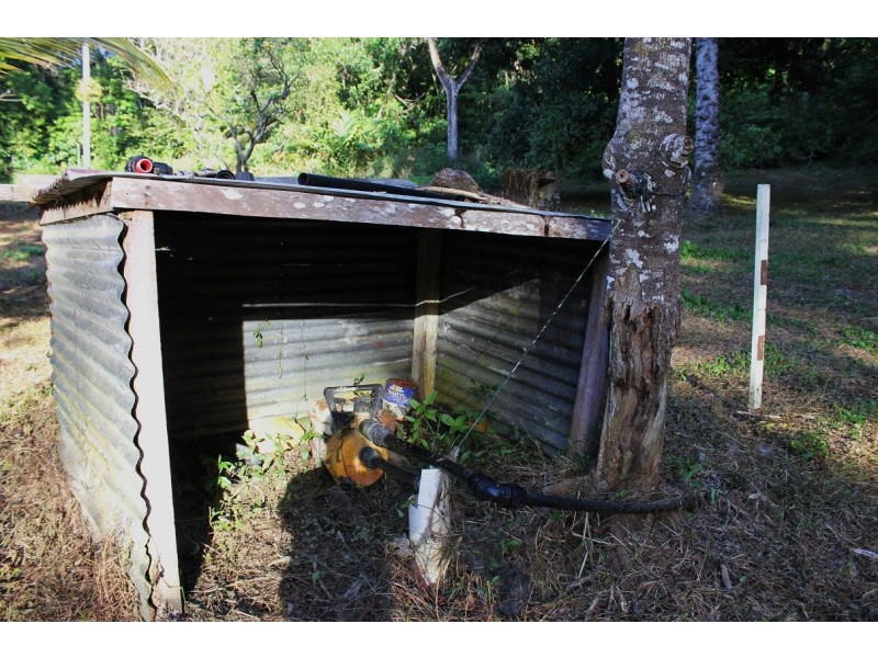 Lot 84 Cape Tribulation Road FOREST CREEK, Daintree QLD 4873
