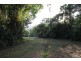 Lot 84 Cape Tribulation Road FOREST CREEK, Daintree QLD 4873