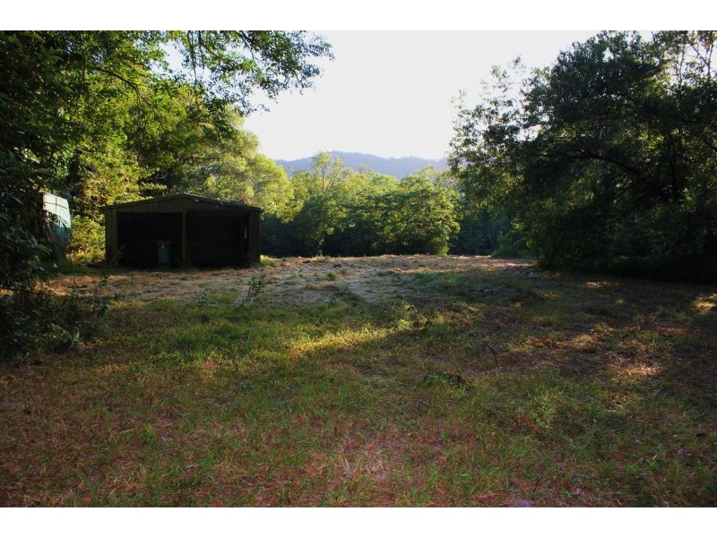 Lot 84 Cape Tribulation Road FOREST CREEK, Daintree QLD 4873