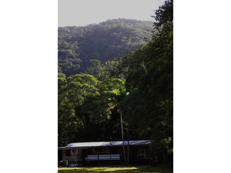Lot 10 Thornton Peak Drive FOREST CREEK, Daintree QLD 4873