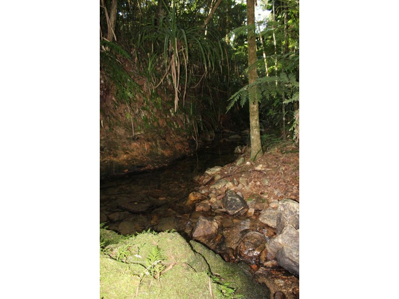 Lot 10 Thornton Peak Drive FOREST CREEK, Daintree QLD 4873