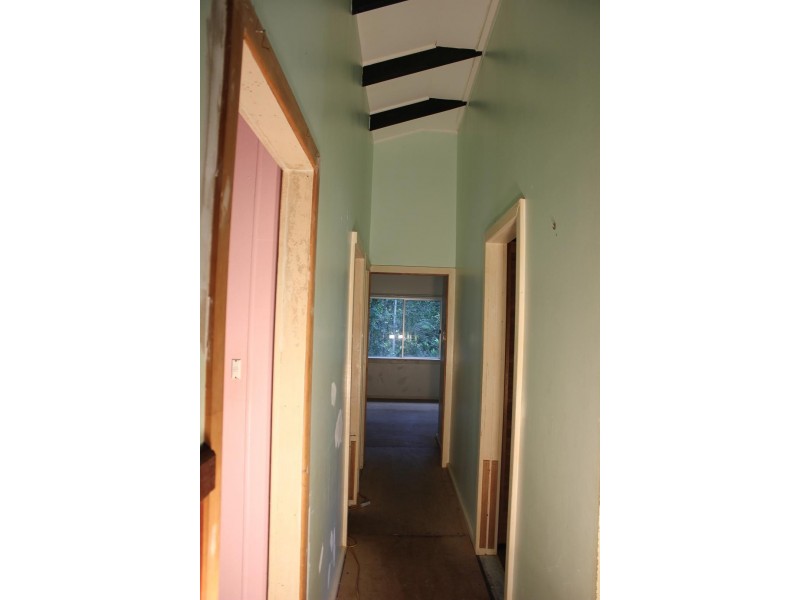 Lot 10 Thornton Peak Drive FOREST CREEK, Daintree QLD 4873