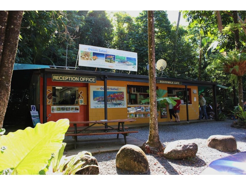 Lot 4 Cape Tribulation Road CAPE TRIBULATION, Daintree QLD 4873