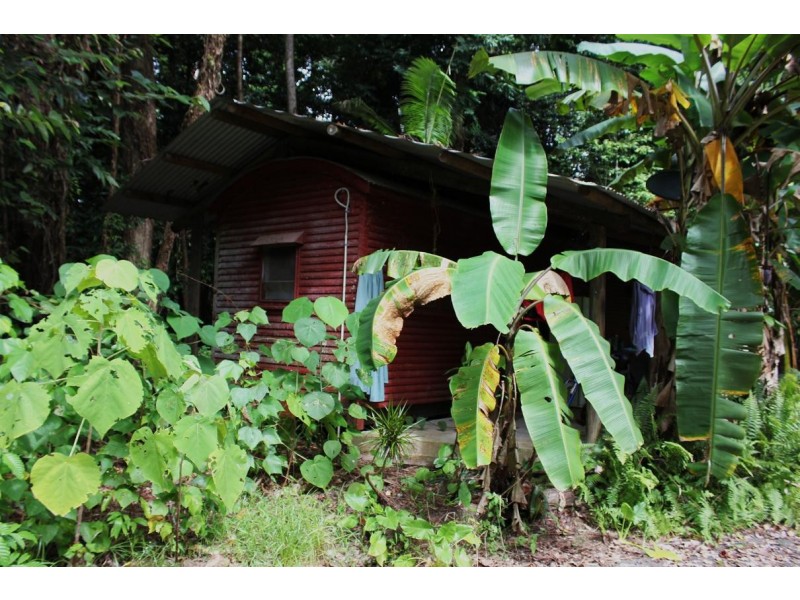 Lot 4 Cape Tribulation Road CAPE TRIBULATION, Daintree QLD 4873