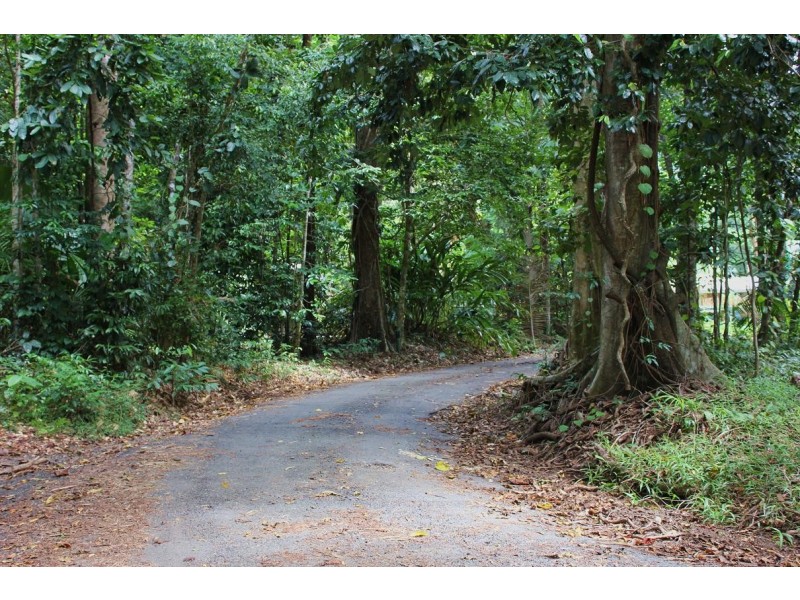 Lot 4 Cape Tribulation Road CAPE TRIBULATION, Daintree QLD 4873