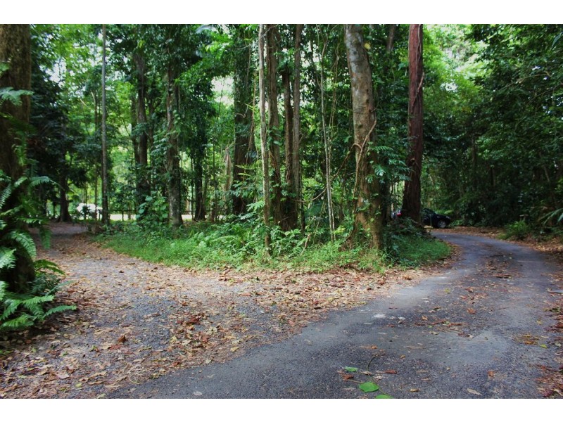 Lot 4 Cape Tribulation Road CAPE TRIBULATION, Daintree QLD 4873