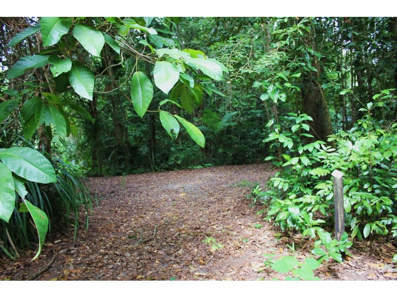 Lot 4 Cape Tribulation Road CAPE TRIBULATION, Daintree QLD 4873
