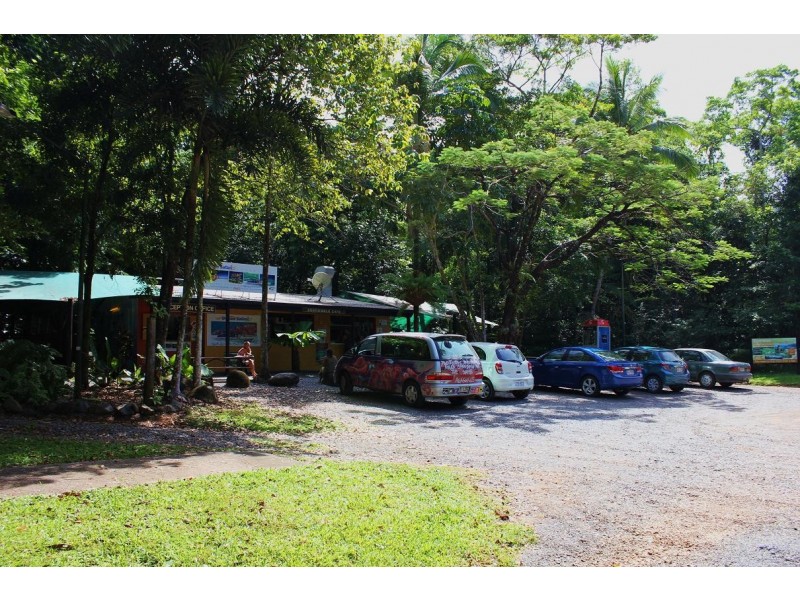 Lot 4 Cape Tribulation Road CAPE TRIBULATION, Daintree QLD 4873