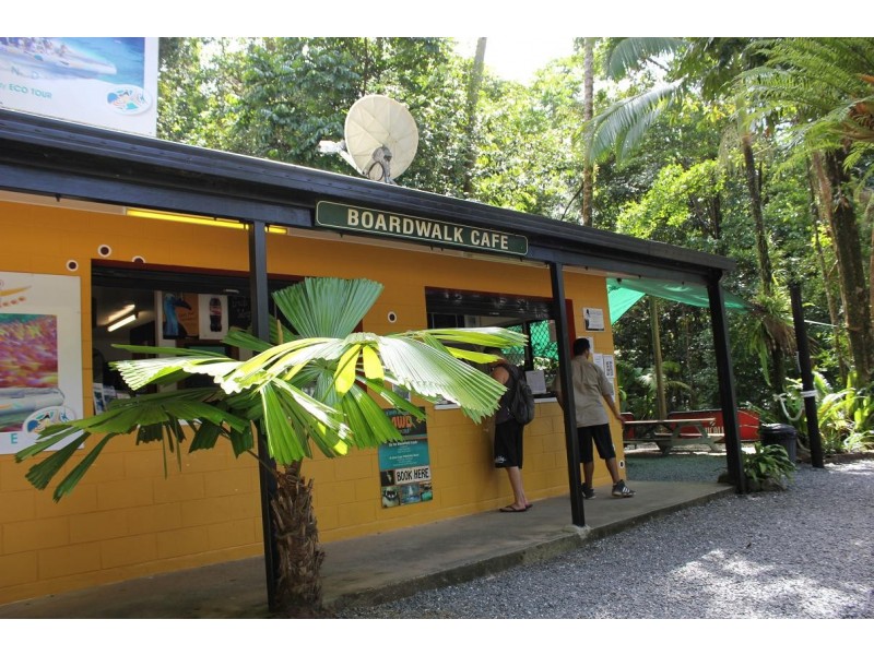 Lot 4 Cape Tribulation Road CAPE TRIBULATION, Daintree QLD 4873