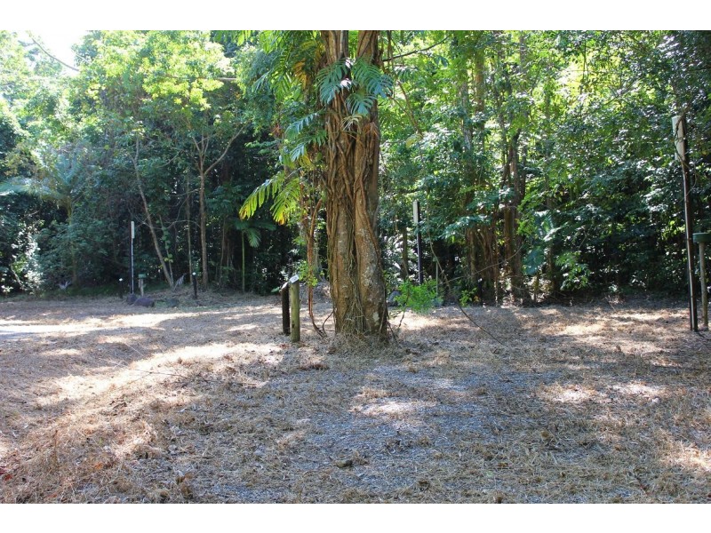 Lot 4 Cape Tribulation Road CAPE TRIBULATION, Daintree QLD 4873