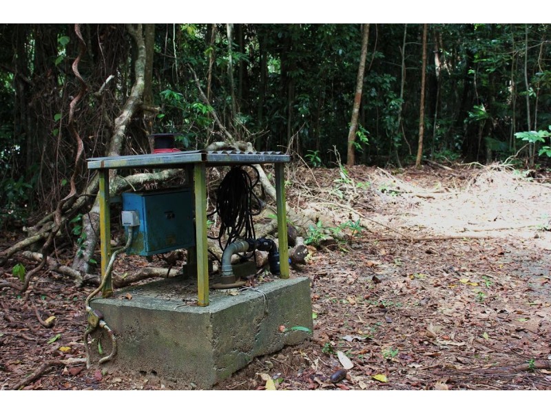 Lot 4 Cape Tribulation Road CAPE TRIBULATION, Daintree QLD 4873