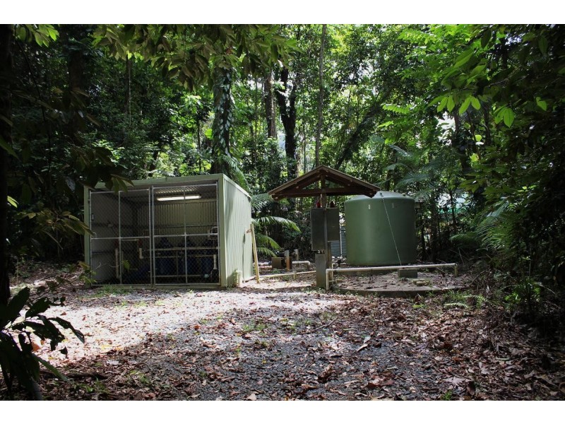 Lot 4 Cape Tribulation Road CAPE TRIBULATION, Daintree QLD 4873