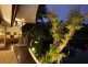 62 Mitre Street (Batujimba), Port Douglas QLD 4877