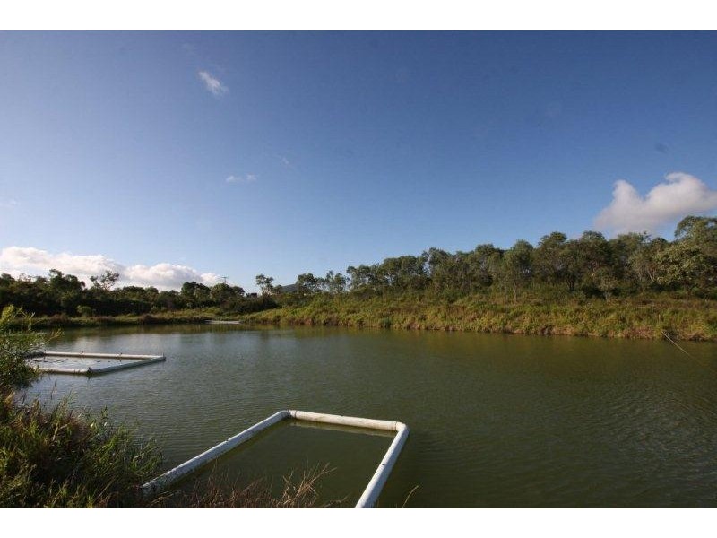 358 Wetherby Road, Mount Molloy QLD 4871