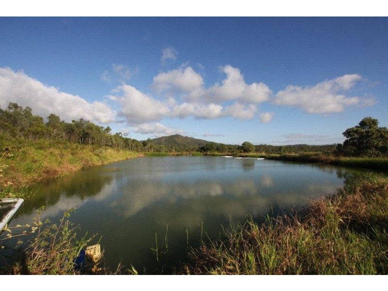 358 Wetherby Road, Mount Molloy QLD 4871