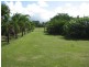 236 Bamboo Creek Road, Miallo QLD 4873