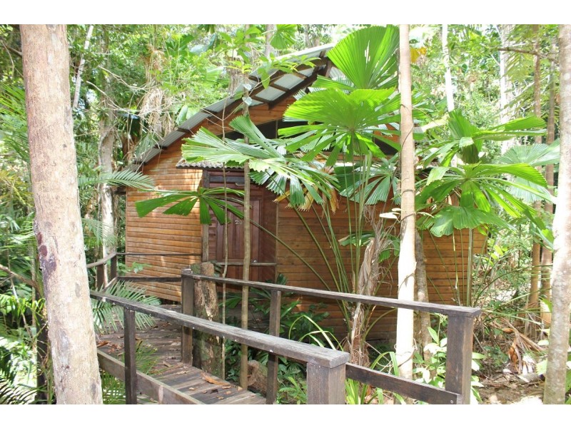 Lot 2 Cape Tribulation Road CAPE TRIBULATION, Daintree QLD 4873