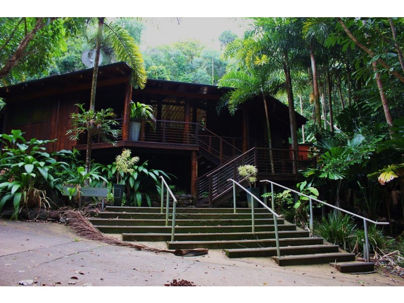 Lot 2 Cape Tribulation Road CAPE TRIBULATION, Daintree QLD 4873