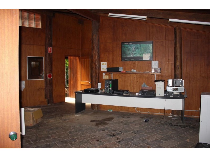 Lot 2 Cape Tribulation Road CAPE TRIBULATION, Daintree QLD 4873