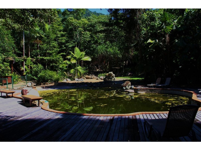 Lot 2 Cape Tribulation Road CAPE TRIBULATION, Daintree QLD 4873