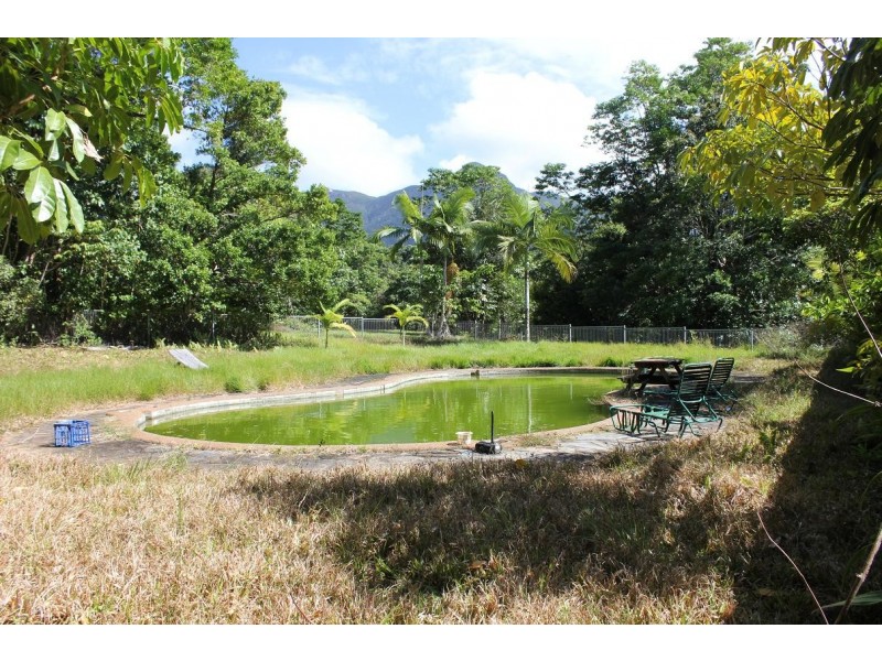 Lot 2 Cape Tribulation Road CAPE TRIBULATION, Daintree QLD 4873