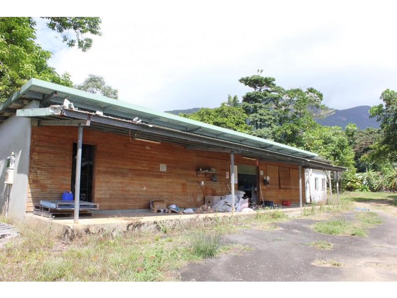 Lot 2 Cape Tribulation Road CAPE TRIBULATION, Daintree QLD 4873