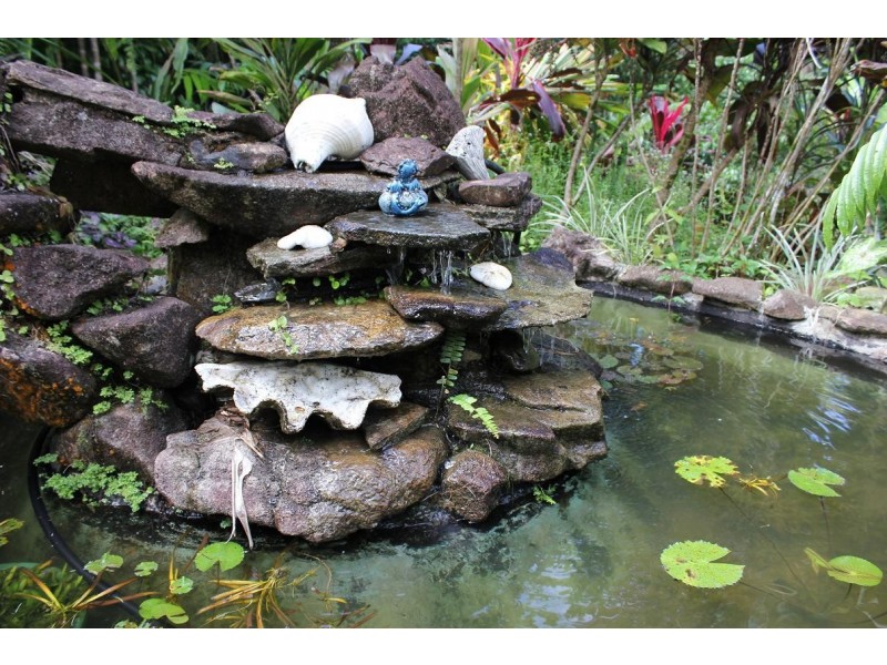 Lot 250 Candlenut Road DIWAN, Daintree QLD 4873