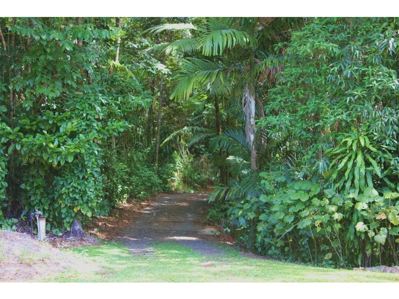 Lot 250 Candlenut Road DIWAN, Daintree QLD 4873