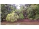 Lot 293 Daintree River Forest Creek, Daintree QLD 4873